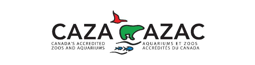 Nouveau projet - 2022-04-21T094228.723 Nouveau projet - 2022-04-21T094228.723